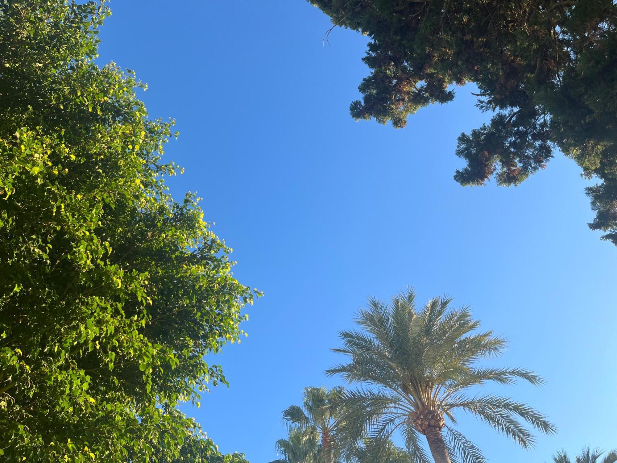 Casa ' Izzy ' Hébergement de vacances Estepona